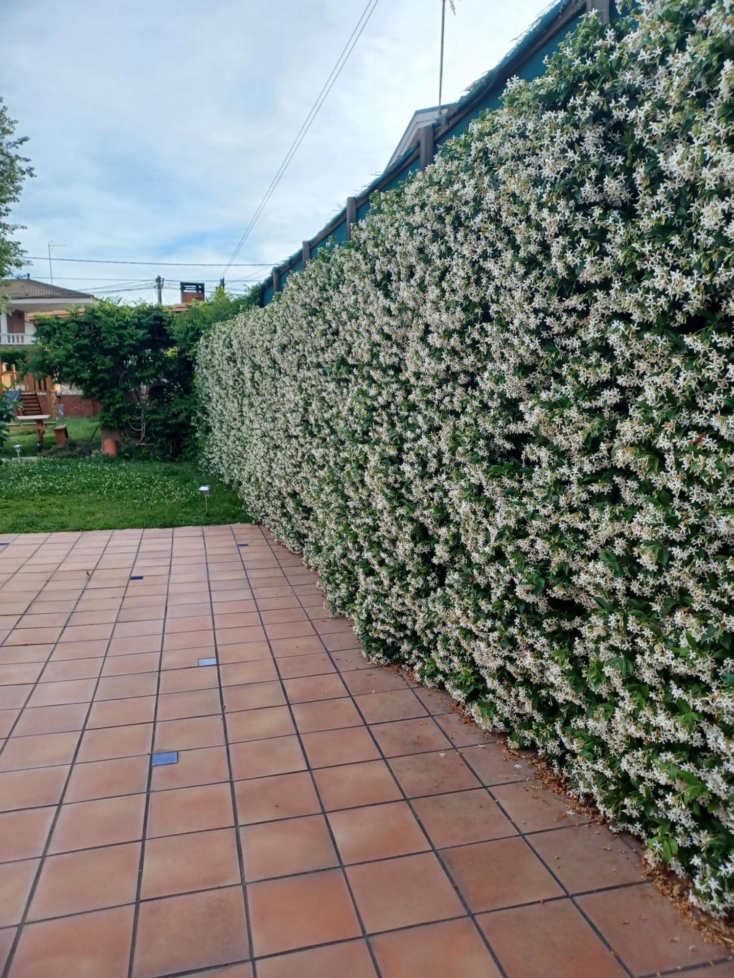 Villa Piscina De Sal Barbacoa Wifi, Parking Gratis, 3 Min Pga Casa El Roble Gerona Exterior foto